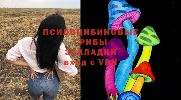 эйфоретик Алексин